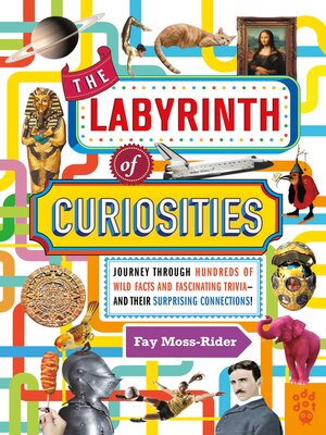 cover image of The Labyrinth of Curiosities